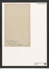 Synedra sp. (de-Toni-Nr.: Genus 66) Zeichnungen Sammlung Grunow (NHMW-BOT-W0373849)
